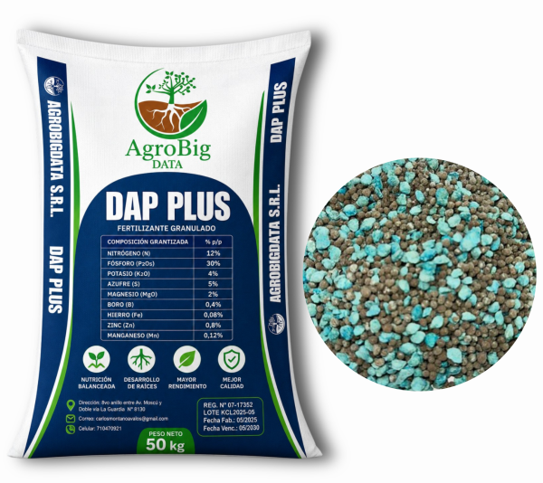 DAP Plus