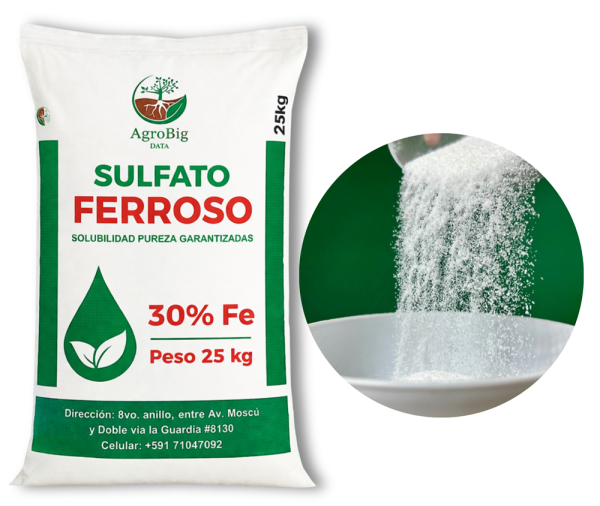 Sulfato Ferroso